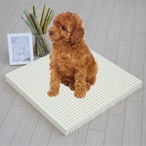 럭스앤펀 천연라텍스애견방석+방수커버 강아지방석, 애견방석 M5cm