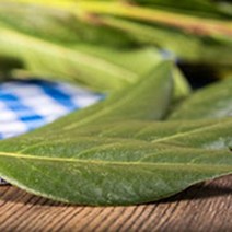 아로마케이 에센셜오일 EO 100ml 비누 화장품 오일 비누만들기재료, 팔마로사오일100ml