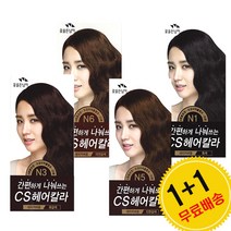 꽃을든남자 간편하게 나눠쓰는 CS 헤어칼라(4회분)1+1, N3 흑갈색, 1개