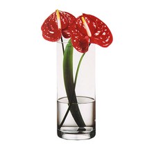 원통형 유리화병 화병 꽃병 유리꽃병 수경재배 장식, 지름10높이30