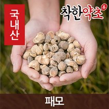 착한약초 국내산 패모 200g, 1개