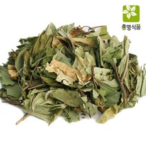 총명식품 국내산 삼백초, 300g, 1개, 1개