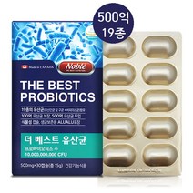 노블 더베스트 유산균 프리 프로 바이오틱스 생유산균 비피더스균 신바이오틱스 프락토올리고당 분말 500억 유익균 투입 캡슐, 500.01mg, 1개입