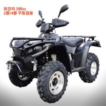 솔바이크 최고의 ATV300cc 뉴아르곤 2륜 4륜구동겸용 산악오토바이, 블랙
