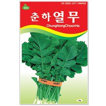 청농종묘 당근 씨앗 3000립 - 채소씨앗 당근씨 당근씨앗, 13_춘하열무(15g)