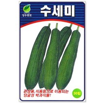 청농종묘 청겨자 씨앗 2000립 채소씨앗 겨자씨앗 상추씨앗, 30_수세미(30립)