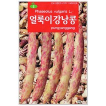 청농종묘 곰취 씨앗 100립 곰치 곰피 곰취나물 취나물 곰취씨, 28_얼룩이강낭콩(70립)