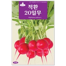 청농종묘 수세미 씨앗 30립 수세미씨 수세미씨앗 씨, 08_적환20일무(600립)