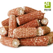 주식회사 총명식품 적옥수수속대, 1kg, 5개