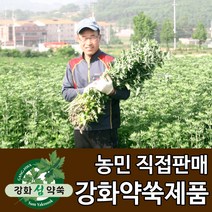 강화도토박이 강화약쑥 강화사자발쑥 강화사자발약쑥 쑥즙, 1봉, 13. 쑥분말 200g