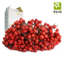 총명식품 마가목열매즙 기타건강즙, 60팩, 100ml