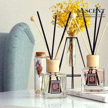 네이센트 프리미엄 우드컬러 디퓨저 1+1 300ml 아로마 디퓨져 B세트, 레몬라벤더