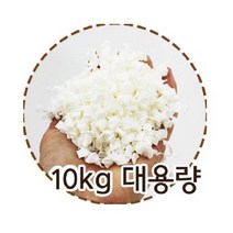 페이브 자연산 햄스터 고슴도치 앵무새 호두 베딩, 3kg, 1개