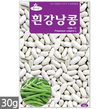청농종묘 레드 방울토마토 씨앗 30립 방울토마토씨앗 대추토마토씨앗 방울토마토씨 대추토마토씨, 06_흰강낭콩(30g)