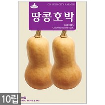 청농종묘 황백 초당옥수수 씨앗 100립 초당옥수수씨앗 옥수수씨앗 초당옥수수씨 옥수수씨, 13_땅콩호박(10립)