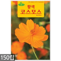 꽃양귀비 씨앗 1000립 / 꽃양귀비씨앗 개양귀비씨앗 양귀비꽃씨앗 꽃씨 씨 야생화씨앗 야생화 야생꽃씨, 08_청농_황색코스모스(150립)