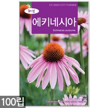 에키네시아 씨앗 100립 / 허브씨앗 에키네시아씨앗 허브씨 허브 여름꽃씨 씨, 13_허브_카모마일(500립)
