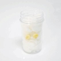 여러 가지 식물의 한살이 5인
