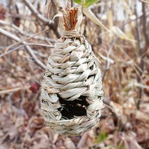 더리얼스 미니 지푸라기 새집 모형 새둥지 버드캐이지 베이지 18cm