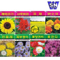 SN월드 씨앗 상추 방울토마토 당근 고추 양파 허브 새싹 꽃씨 야생화, ▶g야생화◀ ★(야생화-꽃향유3000립)