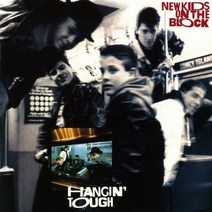 (수입CD) New Kids On The Block - Hangin Tough (30th Anniversary) (Digipack), 단품