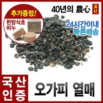 자애인 국산 오가피열매 300g 가시오가피열매 가시오가피 오가피 강원정선, 1개