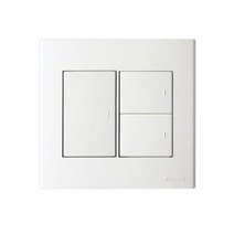 진흥 2개용 3구 스위치, 1개