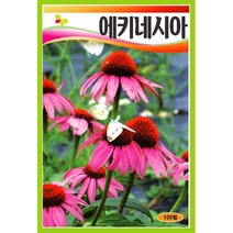 씨앗 에키네시아 푸르푸레아 100립