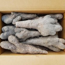 흙사랑농원 안동마 참마 못난이 1kg, 1개