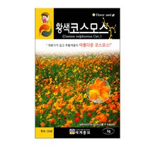 솔림텃밭몰 황색코스모스씨앗 3g 코스모스씨앗 꽃씨앗 꽃씨, 1개