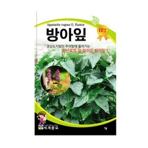 모칸도 세계 방아잎1g