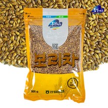 영월농협 동강마루 보리차 500g, 1세트