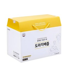 아빠의주스 도라지배즙, 100ml, 40개