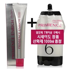 시세이도 염색약 프리미언스 엔리치 컬러(새치머리용)+염모제 7개이상 구입부터 시세이도 정품 산화제 1000ml 증정+무료배송+(시술도구 3종), 1개, NB6