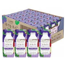 상하목장 유기농 주스 사과블루베리케일, 125ml, 24개