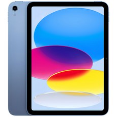 Apple 정품 2022 아이패드 10세대, 블루, 64GB, Wi-Fi