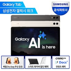 삼성전자 갤럭시탭 S9 플러스, 베이지, 256GB, Wi-Fi