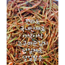 고향의 맛! (엄니손맛) 전라도 수제 고구마순줄기김치 (여름철 별미김치), 1개, 1kg