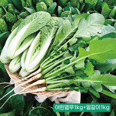 포천 어린열무1kg 1개 농가직송, 어린열무1Kg+얼갈이1Kg