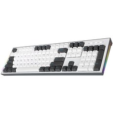 COX 이색사출 사이드 RGB 기계식 유선 일반형 키보드, 그레이 + 화이트, CK01PBT, 적축