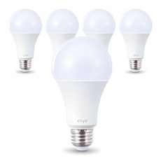 씨티오 LED 화이트 전구 15W, 주광색, 5개