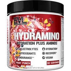 EVLUTIONNUTRITION Hydramino電解質補水胺基酸補充粉 水果賓治口味, 1個, 246g