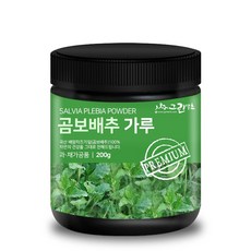 트레이더스배추가격