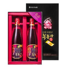 선운산농협_고창복분자원액, 2개, 500ml, 1개입