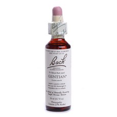 넬슨바치유에스에이 오리지널 플라워 레미디 젠티안, 20ml, 1개