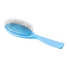 양평쉬자파크두물머리강아지