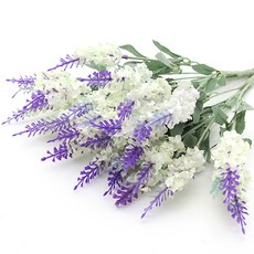 294c295b-1ec8-407e-b425-e0c4cae4b230.jpg