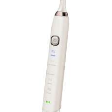단미 음파 전동칫솔 클린케어 + 케이스 + 칫솔모 2p, DA-CL100(WHITE), 1개