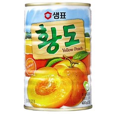 백도서핑