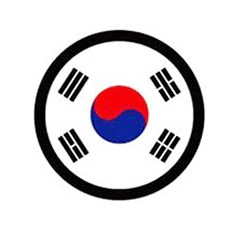 안전 반사 차량용 자석스티커, 07태극기, 1개